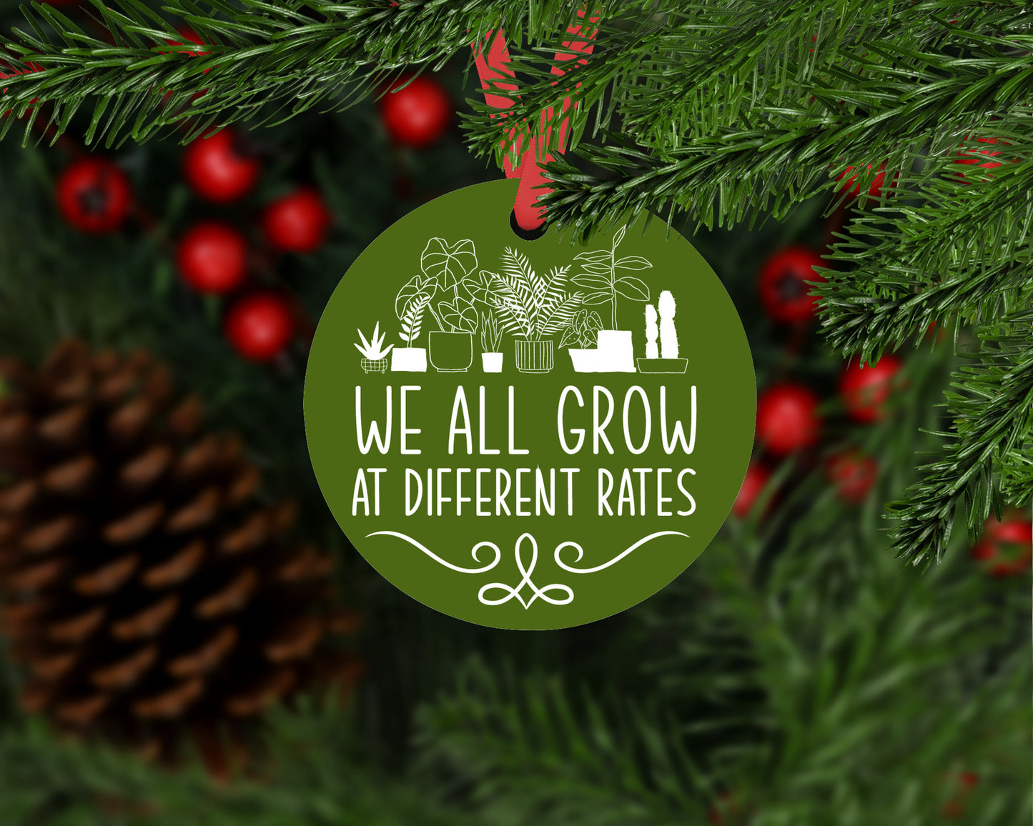 Christmas gift for special education professional, We All Grow at Different Rates Christmas ornament for special ed teacher, Thank you gift for special ed professional